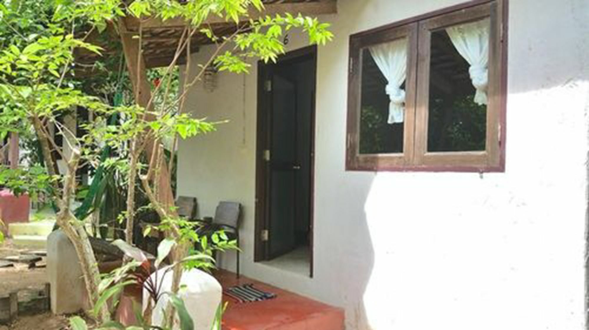 Resort Free House Bungalow